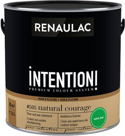 RENAULAC Muur- En Plafondverf Intention Natural Courage Extra Mat 2 5l