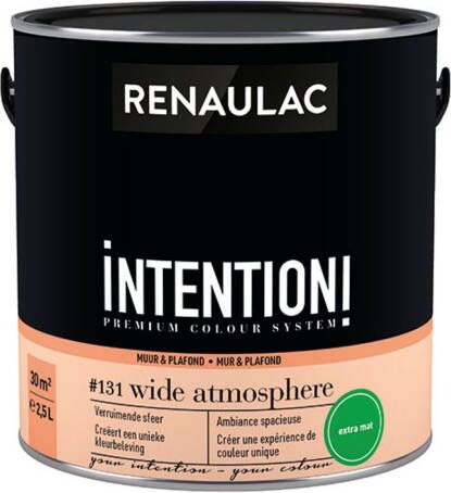 RENAULAC Muur- En Plafondverf Intention Wide Atmosphere Extra Mat 2 5l