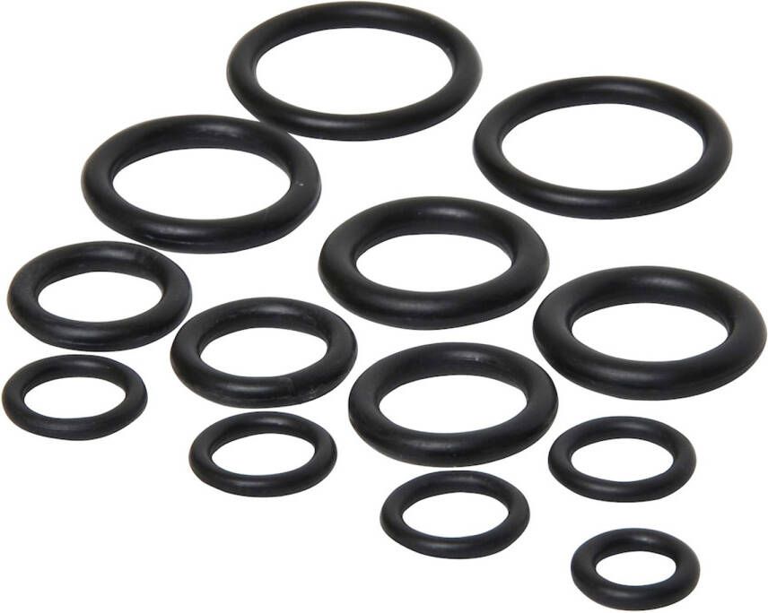 Sanivesk O-ringen Assortiment 12 Stuks 4pp