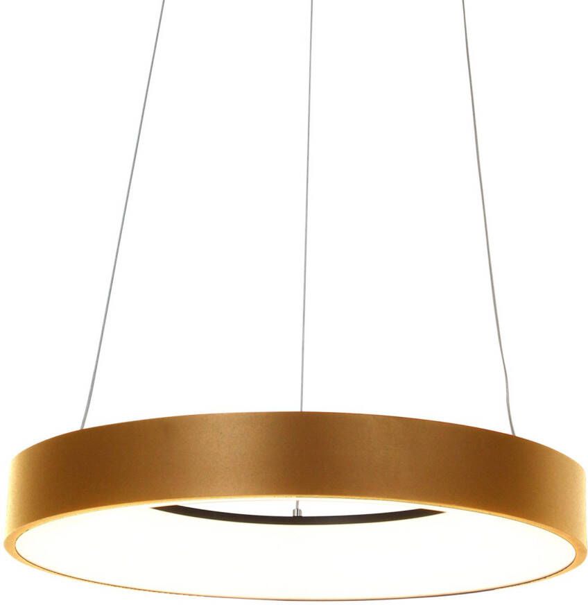 Steinhauer Hanglamp Met Ring Ringlede Goud