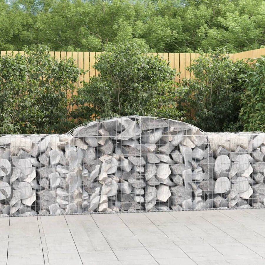 The Living Store Schanskorf Gabion 300 x 50 x 80 100 cm Decoratieve Geluidsisolerende Tuinbarrière