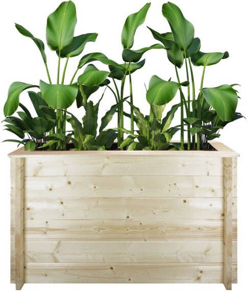 Timbela Houten Buitenmoestuin M615 118x38xh69 Cm