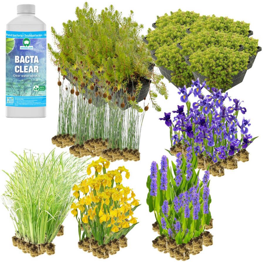 Vdvelde.com Compleet Plantenfilter Vijver Pakket XXL Voor 16 24 m² 552 planten Plaatsing: -1 tot -20 cm