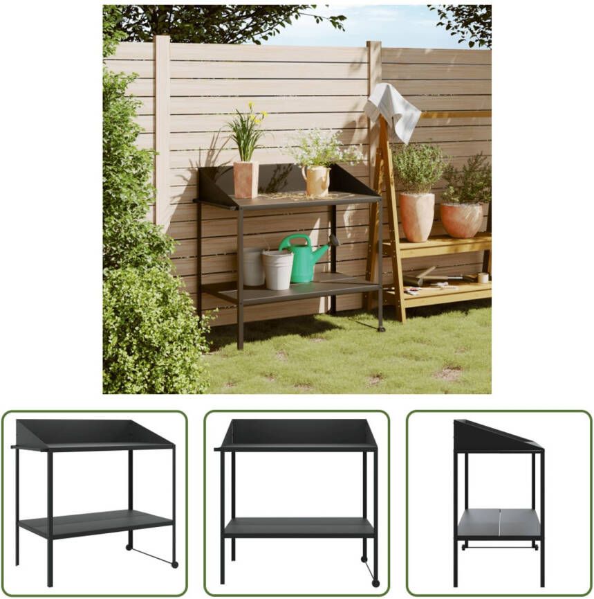 The Living Store Plantenstandaard + 2 lagen 100 x 54.5 x 85 100 cm gegalvaniseerd staal antraciet