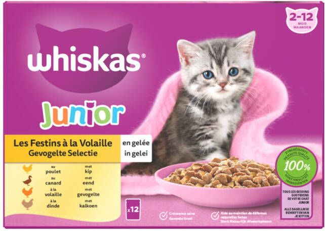 Whiskas Junior Kattenvoer Gevogelte In Gelei Natvoer Maaltijdzakjes 48 X 85 Gr