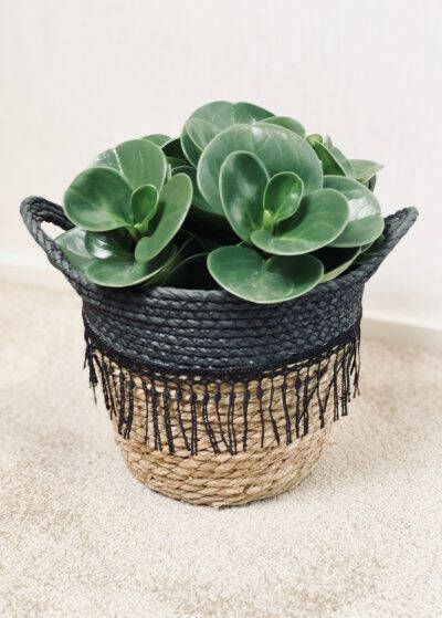 Sizland Dezign Mand Boho Touw Beige & Zwart Klein