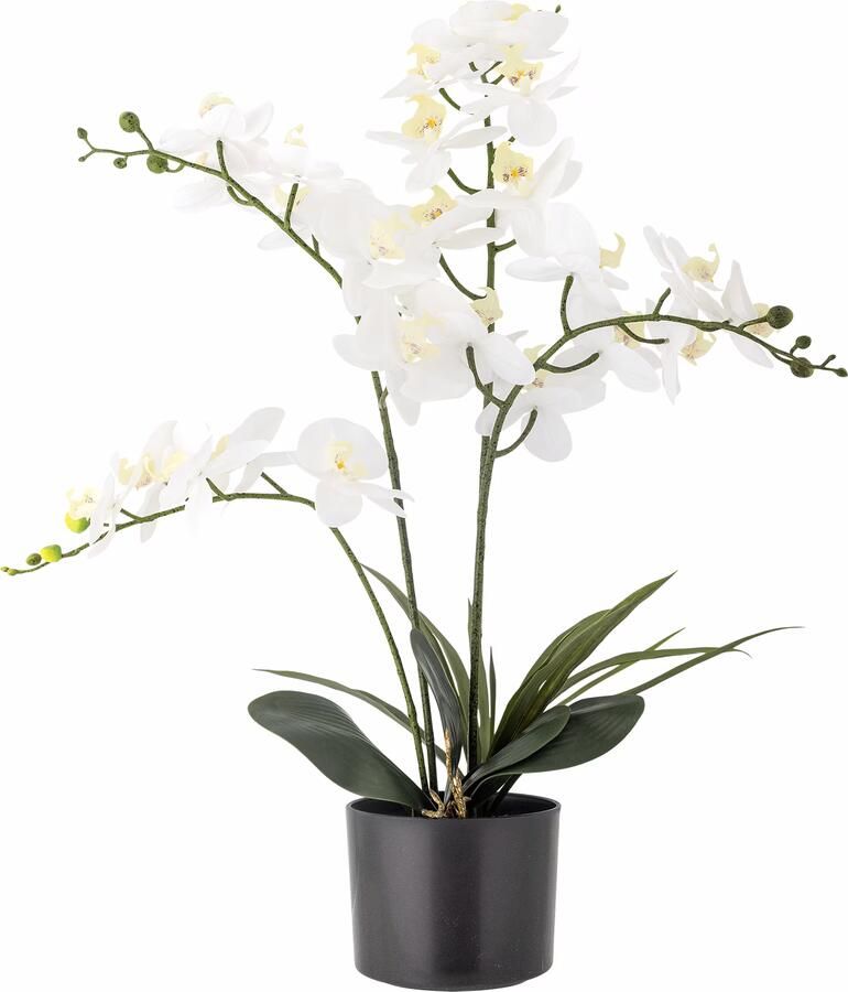 Bloomingville Kunstbloem Orchid 84cm hoog Wit