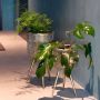 Dutchbone Plantenstandaard Botanique Goudkleurig - Thumbnail 3