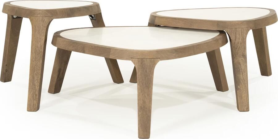 Eleonora Organische Salontafel Fred Set van 3 stuks Marmer en mangohout Bruin
