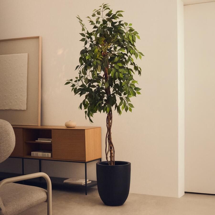Kave Home Kunstplant Ficus 180cm hoog excl. sierpot Groen