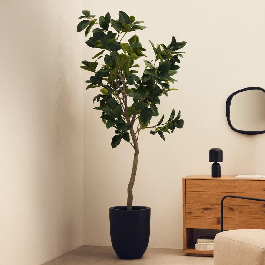 Kave Home Kunstplant Ficus 210cm hoog excl. sierpot Groen