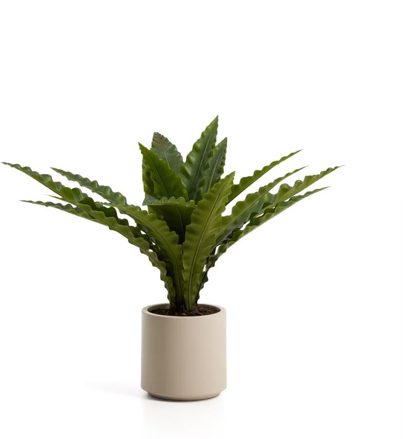 Kave Home Kunstplant Neottopteris 70cm Groen