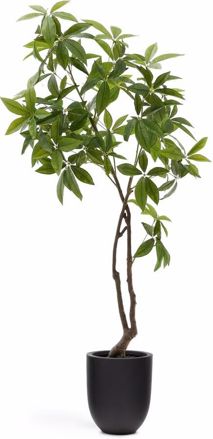 Kave Home Kunstplant Pachira 180cm hoog Groen