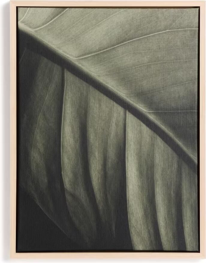 Kave Home Schilderij Foliae 42 x 32cm Groen