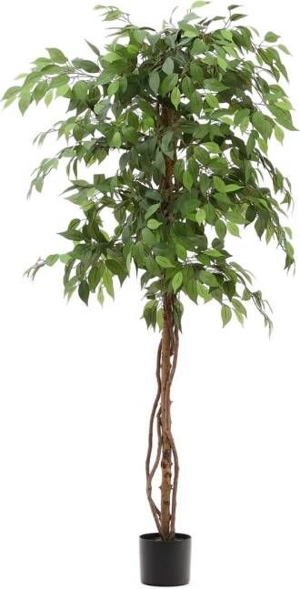 Kave Home Kunstplant Ficus 180cm hoog Groen