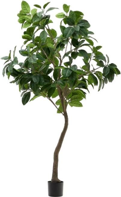 Kave Home Kunstplant Ficus 210cm hoog Groen