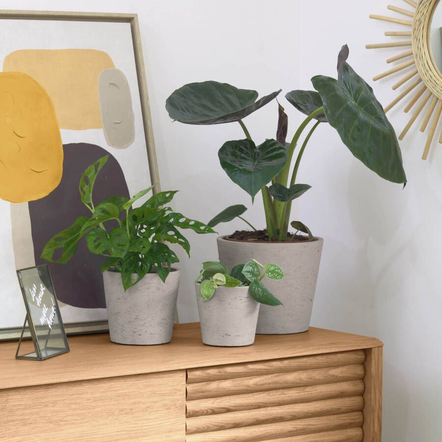 Kave Home Low set van 3 bloempotten grijs Ø 23 5 cm Ø 16 5 cm Ø 14 cm - Foto 2