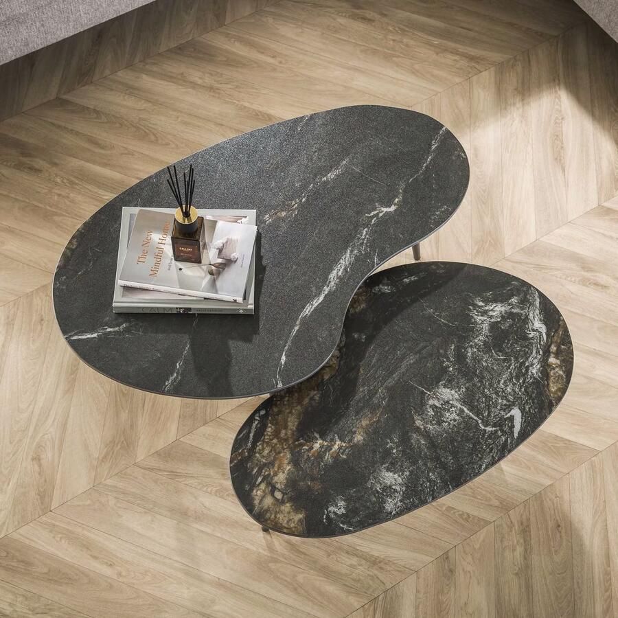LifestyleFurn Organische Salontafel Antar Niervormig Keramiek Set van 2 stuks Ceramic fossil black