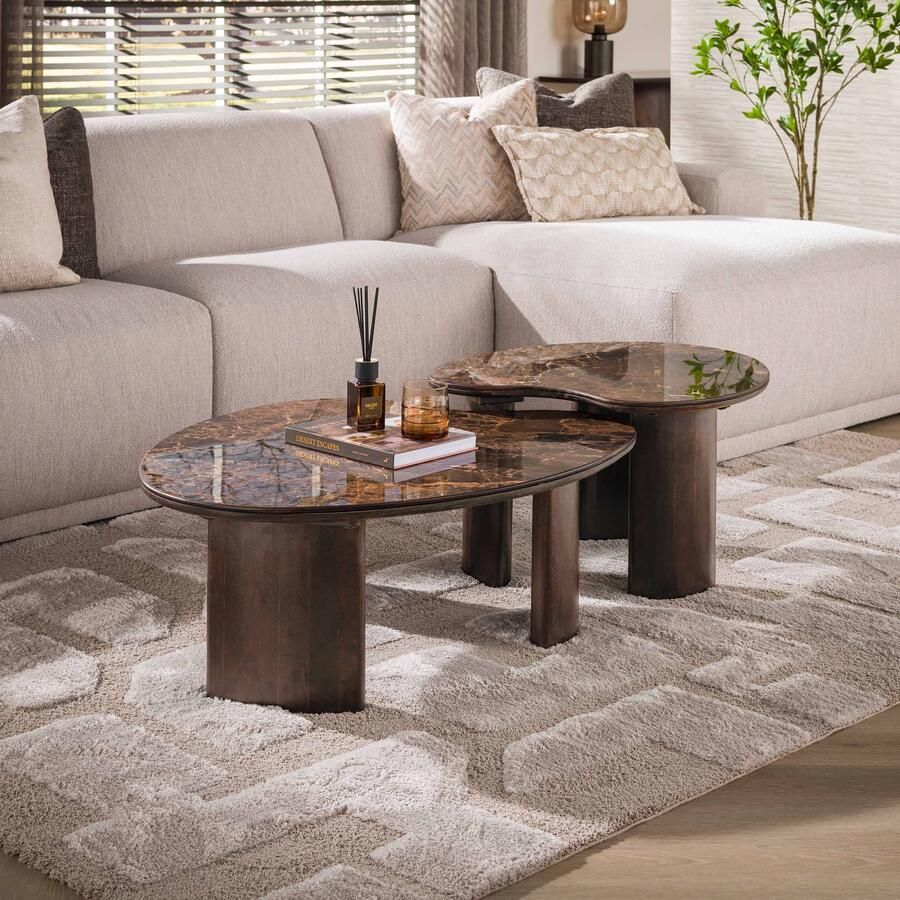LifestyleFurn Organische Salontafel Elodie Mangohout en marmerlook Set van 2 stuks Bruin