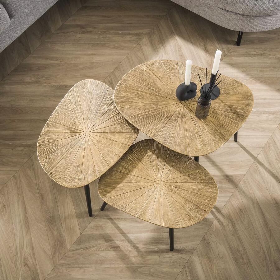 LifestyleFurn Organische Salontafel Katrell Ray Metal Set van 3 stuks Brons ray metal
