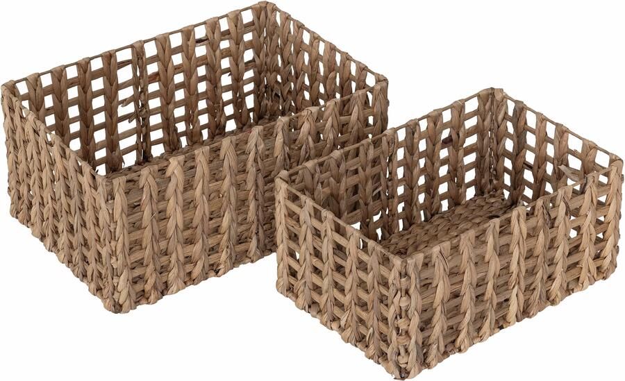 MUST Living manden Salvador Bruin