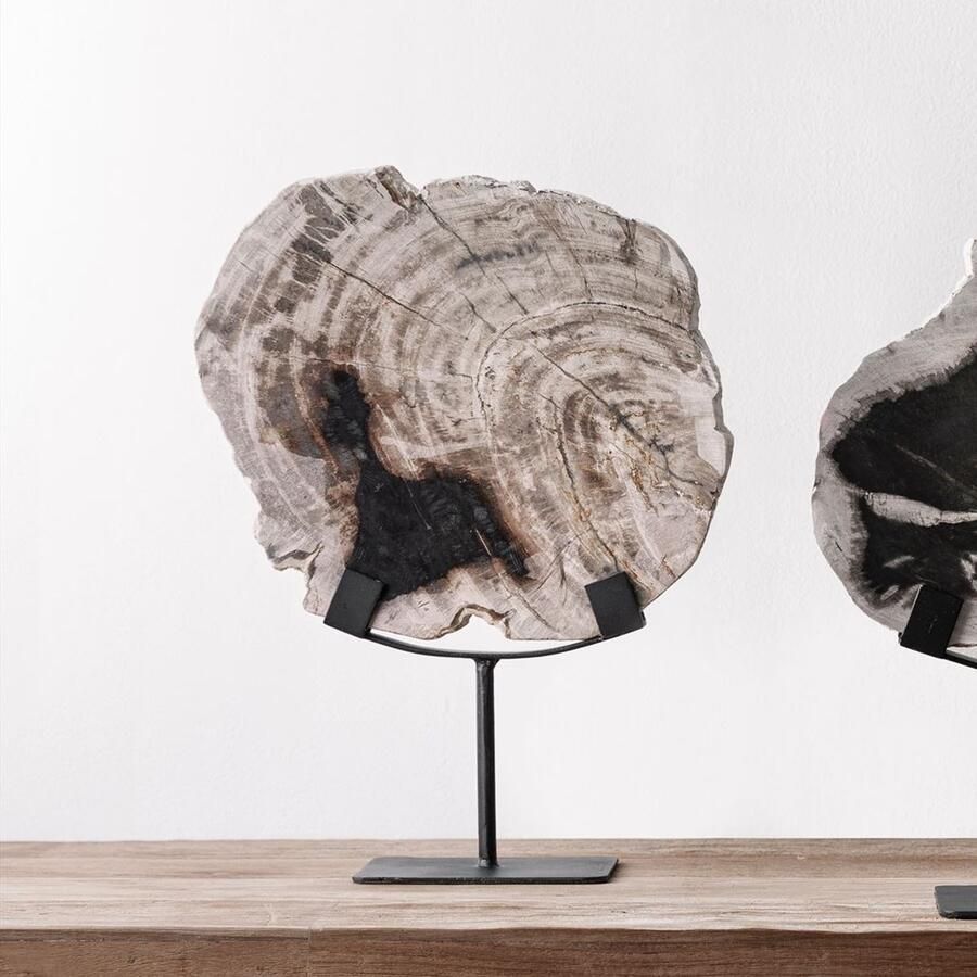 Must Living Statue Fossil 33x26x11 cm petrified wood on an base