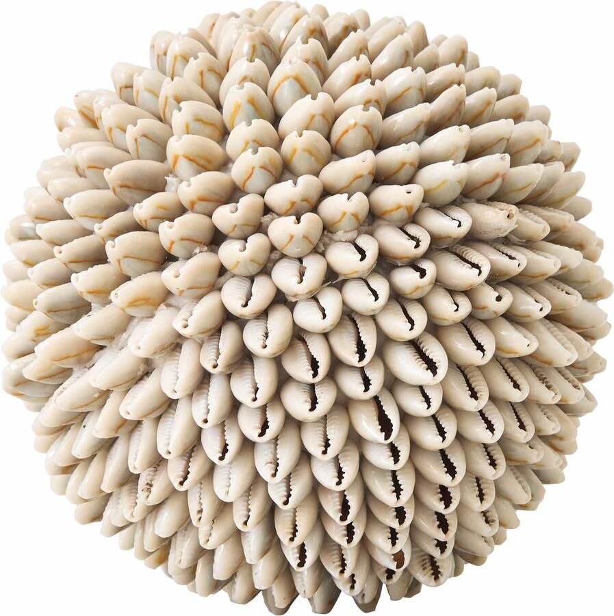 MUST Living Ornament Sand Shell Schelpen Beige