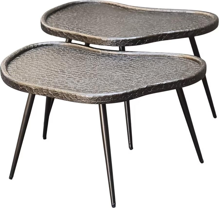 Richmond Interiors Richmond Salontafel Bean Mdf Metaal 76 x 58cm Set van 2 stuks Zilver Organisch
