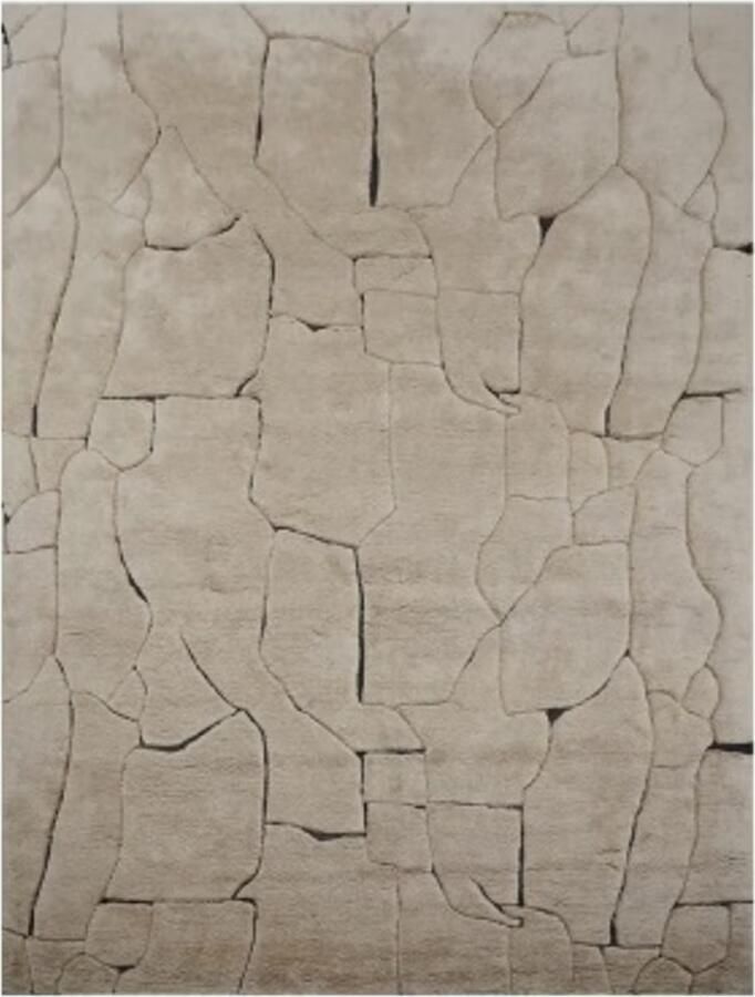 Richmond Interiors Richmond Vloerkleed Bhawan 300x400cm Bruin