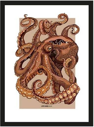 Urban Cotton Artprint Pulpo 30 x 40cm