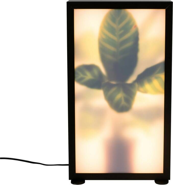 Zuiver Grow M Vloerlamp Roomdivider 29x8x51- LED Zebra Plant - Foto 2