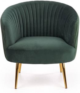Home Style Fauteuil Crown in groen