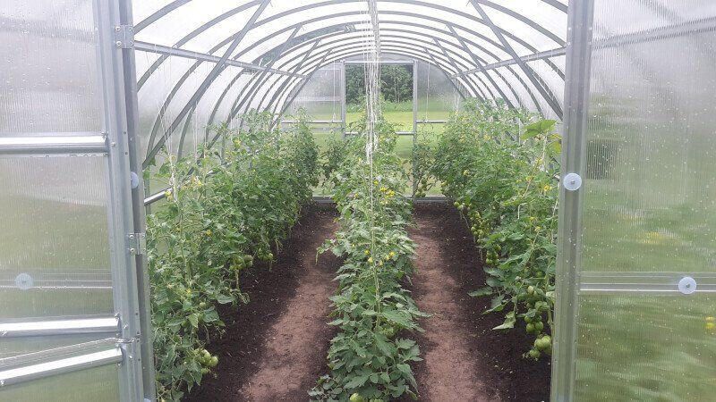 Trendyard Polycarbonaat Tuinkas Baltic LT 3 x 12 Meter