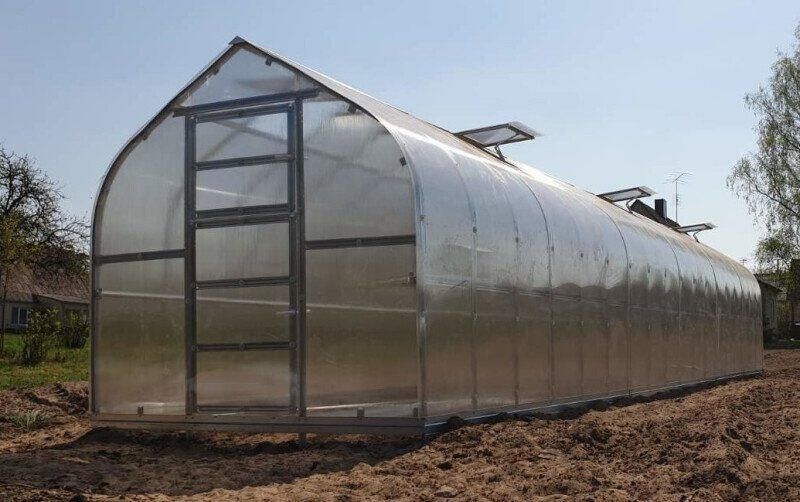 Trendyard Polycarbonaat Tuinkas Klasika Standart 2 5 x 10 Meter