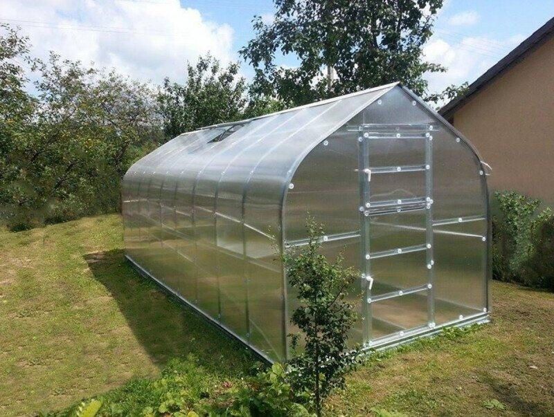 Trendyard Polycarbonaat Tuinkas Klasika Standart 2 5 x 6 Meter