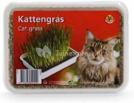 Beeztees kattengras plastic box Kattensnacks 130 gram