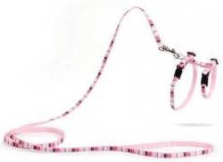 Beeztees Nylon Kittentuig Joy Roze 15-33x8 Met 120