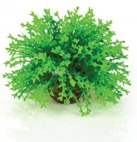 BiOrb bloemenbal groen aquarium decoratie