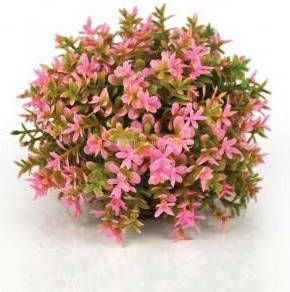 BiOrb bloemenbal roze aquarium decoratie