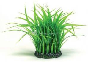 BiOrb grasring medium groen aquarium decoratie