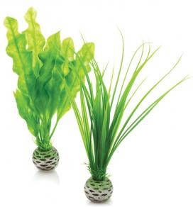 BiOrb planten klein groen aquarium decoratie