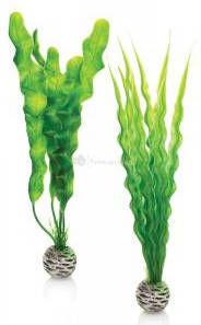 BiOrb planten medium groen aquarium decoratie