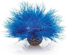 BiOrb zeelelie blauw aquarium decoratie