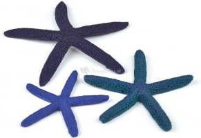 BiOrb zeester set 3 blauw aquarium decoratie