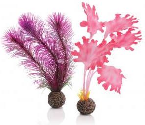 BiOrb zeewier set klein roze aquarium decoratie