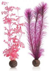BiOrb zeewier set medium roze aquarium decoratie