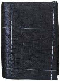 Express Worteldoek 4 2x5 meter zwart
