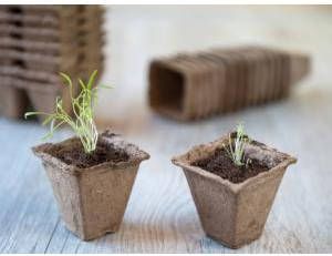 Nature 16x Turfpotjes stekpotjes 6 cm biologisch afbreekbaar Moestuinpotjes Moestuin artikelen - Foto 6