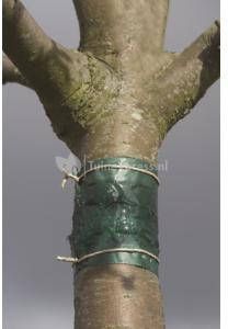 Nature Insecten kleefband 150 cm 6060134