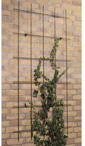 Nature Metalen Klimrek Groen Klim-En Geleide Artikel 0.5x57x145 cm - Foto 6